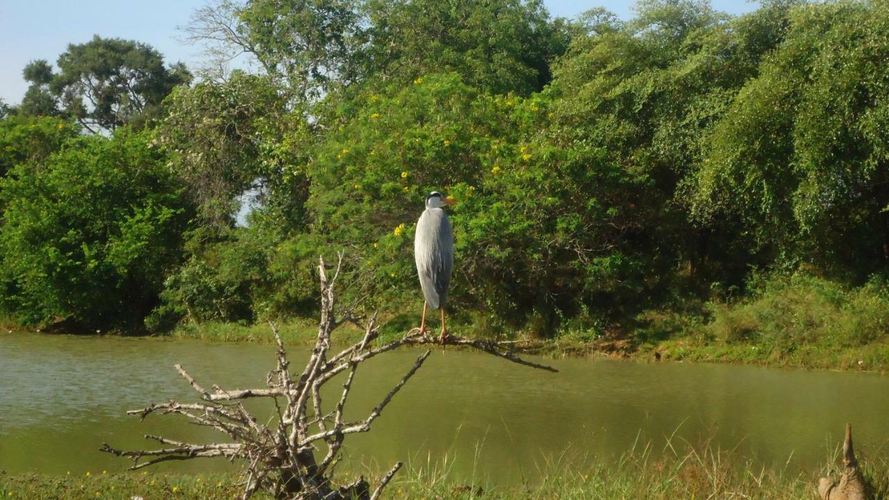 Heina Nature Resort - Eco Home And Yala Safari Kataragama Exterior foto